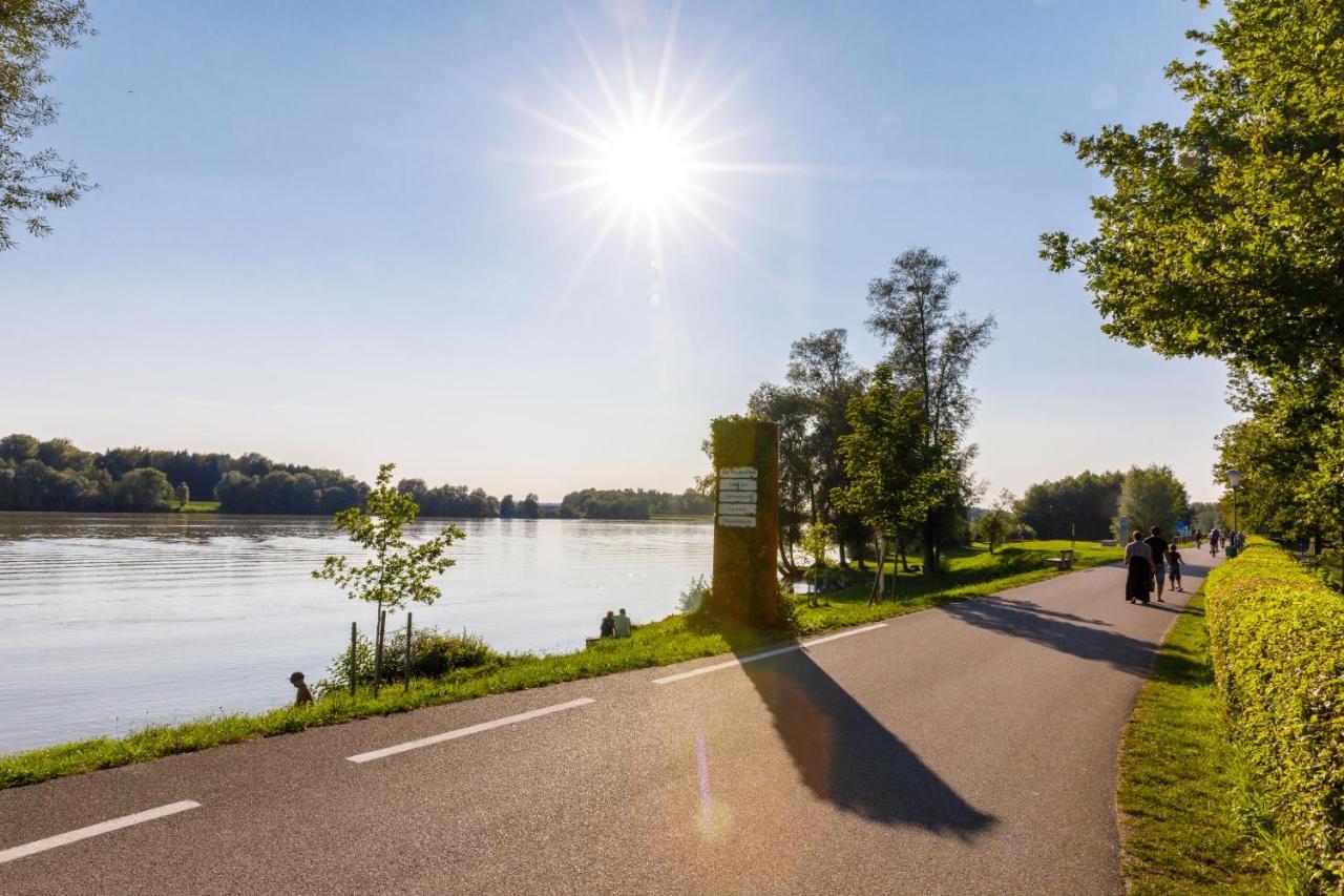Camping & Pension Au An Der Donau Exteriér fotografie