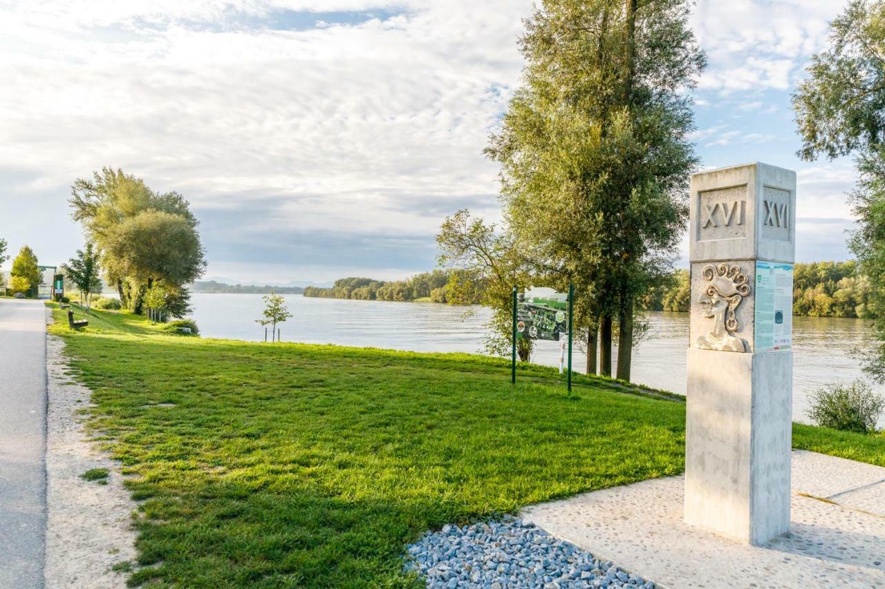 Camping & Pension Au An Der Donau Exteriér fotografie