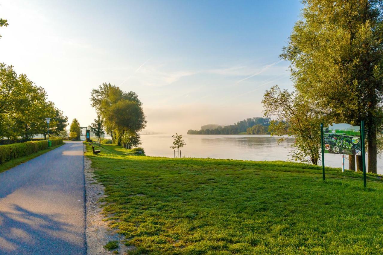 Camping & Pension Au An Der Donau Exteriér fotografie